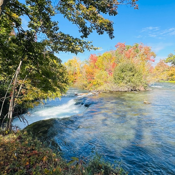 Bundle # 1 - Picture 1 of 1